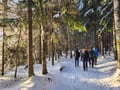 National Park and Smoke Sauna Experience
