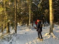 National Park and Smoke Sauna Experience