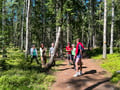 National Park and Smoke Sauna Experience