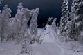 Private Arctic Winter Campfire Experience