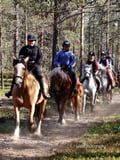 Wolverine's Way – Horseback trail ride