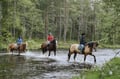 Wolverine's Way – Horseback trail ride