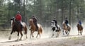Wolverine's Way – Horseback trail ride