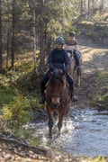Wolverine's Way – Horseback trail ride