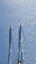 Ski tour on back-country skis
