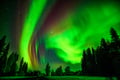 Northern Lights hunting adventure in Lapland