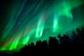 Magical Aurora Borealis in Rovaniemi