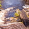 Auttiköngäs Waterfalls & Nature Trail