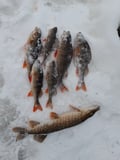 Traditional Ice Fishing Experience in Levi