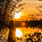 Rovaniemi: Insider Summer Evening Fishing 