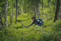 Auttiköngäs Hiking Experience
