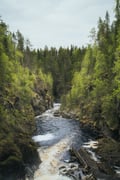 Auttiköngäs Hiking Experience