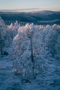 Auttiköngäs Hiking Experience