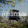 Auttiköngäs Hiking Experience