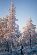 Auttiköngäs Hiking Experience
