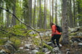 Auttiköngäs Hiking Experience