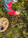 Forest Adventure & Outdoor Cooking