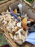 Forest Adventure & Outdoor Cooking