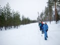 Snowshoeing to a Private Reindeer Forest & Reindeer Herder’s Day with Lunch, Levi