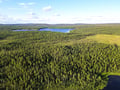 Private Wilderness Sauna Experience in Summer & Autumn