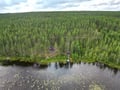 Private Wilderness Sauna Experience in Summer & Autumn