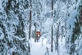 E-FAT BIKE experience in small groups