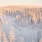 E-FAT BIKE experience in small groups