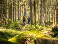 E-FAT BIKE experience in small groups