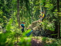 E-FAT BIKE experience in small groups