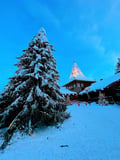 Kuusamo → Rovaniemi ✈ Departure｜Santa Claus Village · Reindeer Ride · Arctic Certificate