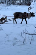 Finland Winter 7-Day Tour: Icebreaker, Aurora & Santa Village