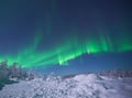 Northern Lights Guarantee Tour — Unlimited Distance Aurora Hunt, Levi