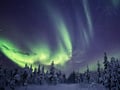 Northern Lights Guarantee Tour — Unlimited Distance Aurora Hunt, Levi