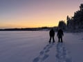 Reindeer & Snowshoeing Experience in the Wild