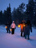 Reindeer & Snowshoeing Experience in the Wild