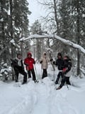 Reindeer & Snowshoeing Experience in the Wild