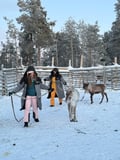 Reindeer & Snowshoeing Experience in the Wild
