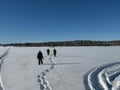 Reindeer & Snowshoeing Experience in the Wild