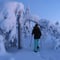Reindeer & Snowshoeing Experience in the Wild