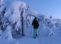 Snowshoeing under a snow covered trees