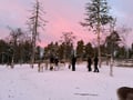 Reindeer & Snowshoeing Experience in the Wild