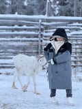 Reindeer & Snowshoeing Experience in the Wild