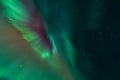 Rovaniemi: Aurora Activity Guarantee - 97% Success Rate Tour