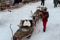 Rovaniemi Half Day Private Transportation Charter