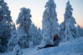Pallas National Park Adventure from Levi