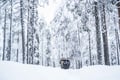Pallas National Park Adventure from Levi