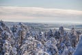 Pallas National Park Adventure from Levi