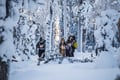 Pallas National Park Adventure from Levi