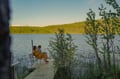 Electric Fatbike Trip to Wilderness Cabin, Reindeer & Sauna (2 Days)