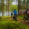 Electric Fatbike Trip to Wilderness Cabin, Reindeer & Sauna (2 Days)